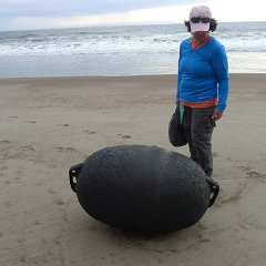 GirlsWildCat 061 : GirlsWildCat